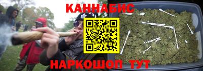 прущие крисы Кандалакша