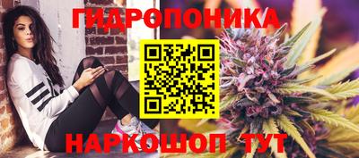 прущие крисы Кандалакша