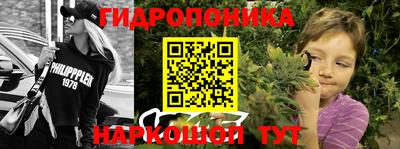 кокс Канаш