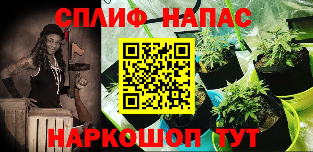 Шишки марихуана гибрид Заречный